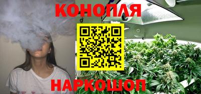 мяу мяу мука Тула