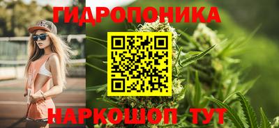 гидра Тулун