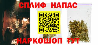 гидра Тулун