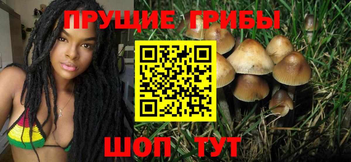 Псилоцибиновые грибы GOLDEN TEACHER Новоуральск